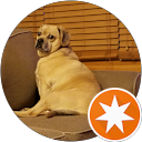 Tiffany S profile picture